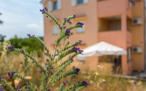 Apartman Deja 