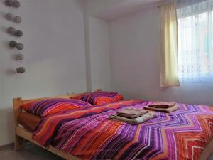 Joan Apartment Gandia
