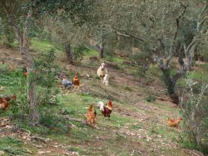 Herdade dos Montes Bastos