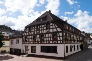 Gasthof Kreuz - 黑林山区克尼格斯费尔德