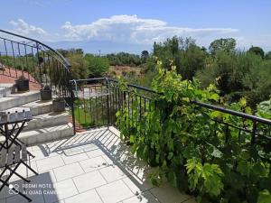 Anastasios Olive Garden Apartments