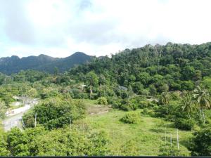 Telaga Harbour Park, Pantai Kok, 07000 Langkawi, Malaysia.