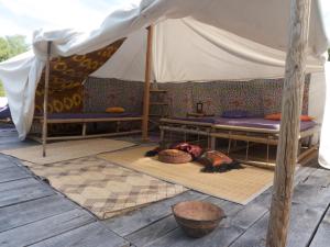 Tamana Tuquet Tentes Mauritannienne photo 6