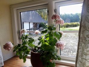 Brösarp Källagården Stora Gårdslägenheten