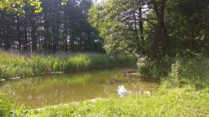 Wigierska Zagroda - agroturystyka