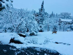 Cielo de Piedra. Cabañas y Petit Hotel