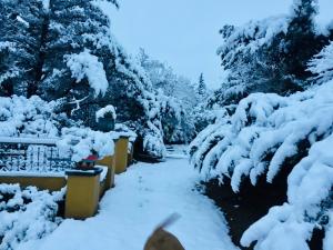 Cielo de Piedra. Cabañas y Petit Hotel