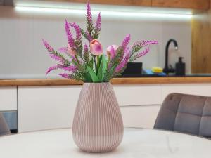 Apartman Silva Zlatibor