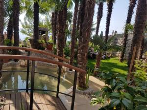 Beautiful View Apt 3