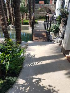 Beautiful View Apt 3