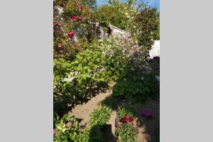 Maisons de vacances Maison plain pied confortable belle decoration jardin magnifique 10 mn a pied centre ville Bayeux proche plages du debarquement : photos des chambres