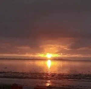 Kleine Ruheinsel - Dam