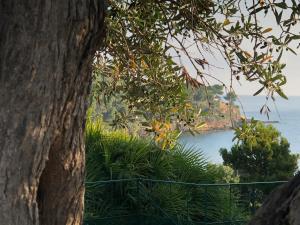 TORRE MARIZA Guidaloca