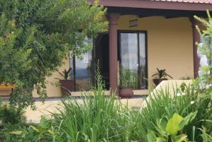 Mountain View Guest House