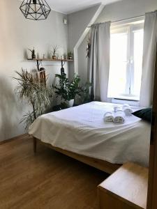 Apartament Rodzinny Sopot