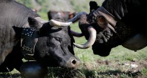 Grand Hôtel & Kurhaus