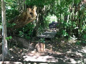 Cabaña en el Delta Arroyo Pajarito a 20 minutos de navegación