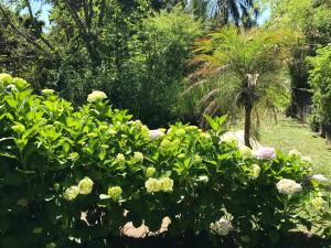 Cabaña en el Delta Arroyo Pajarito a 20 minutos de navegación