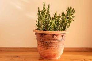 Apartment in Keszthely - Balaton 19026