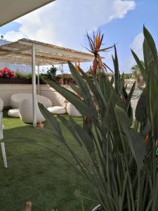La Casa del Turista