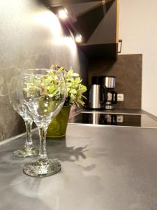 Ferienwohnungen Alpspitzecho