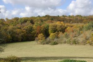 Péchalvet