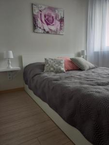 Apartament 26