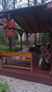 Brązowy Domek - Tleń, Bory Tucholskie