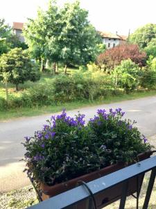 Casa Giulia - Valeggio sul Mincio