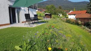 Wohnung Wiesengrün - Osserblick