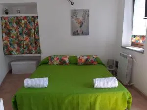 Il Cervo Reale di Venaria - Druento