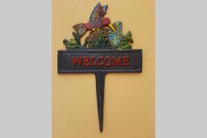 il colibri