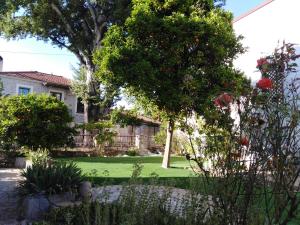 Epavli Sofia s two Apartments in Horto, 30m from the sea