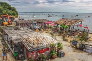 Appartements Colibri Appart' T2 au coeur du Bassin d'Arcachon : Appartement 1 Chambre