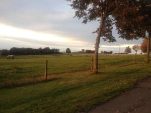 Penthouse Mosel Huntress