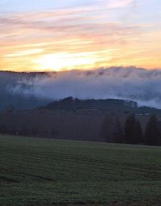 Penthouse Mosel Huntress