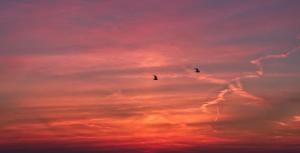 Perfect Stay Holiday, Moment at Sea