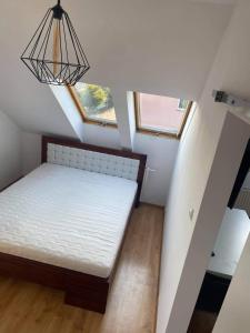Uroczy apartament