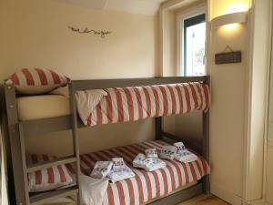 Appartements Les Cigales : photos des chambres