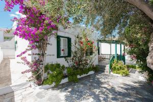 Charming House Platy Gialos