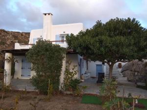 Karades Houses Medusa