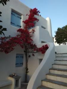 Karades Houses Medusa