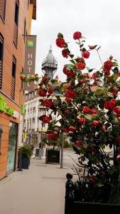 Hotels ibis Styles Le Puy en Velay : photos des chambres