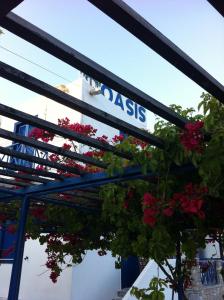 Oasis Azolimnos Syros Greece