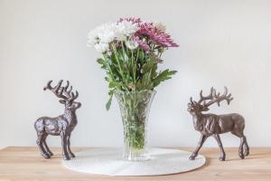 Fewo beim Nik mit Wanderreitstation