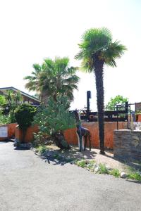 Hotels Le Banana's : photos des chambres