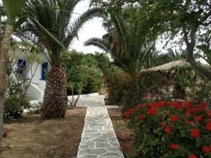 Oasis Ios Greece