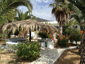 Oasis Ios Greece