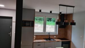 Przystań pod Witoszą