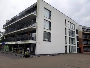 Beautiful Apartment in the heart of Birstonas